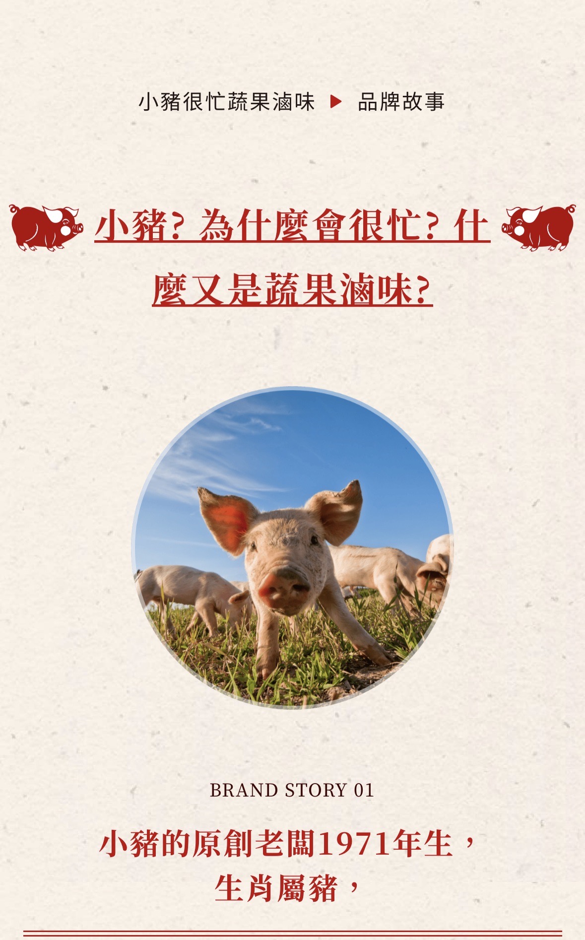 小豬很忙 蔬果滷味 加盟優勢