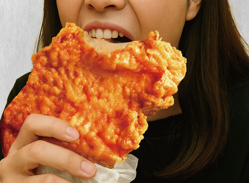 炸雞大獅 產品介紹