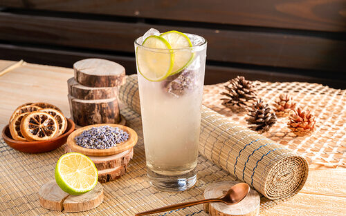 貓頭鷹茶森林 產品介紹