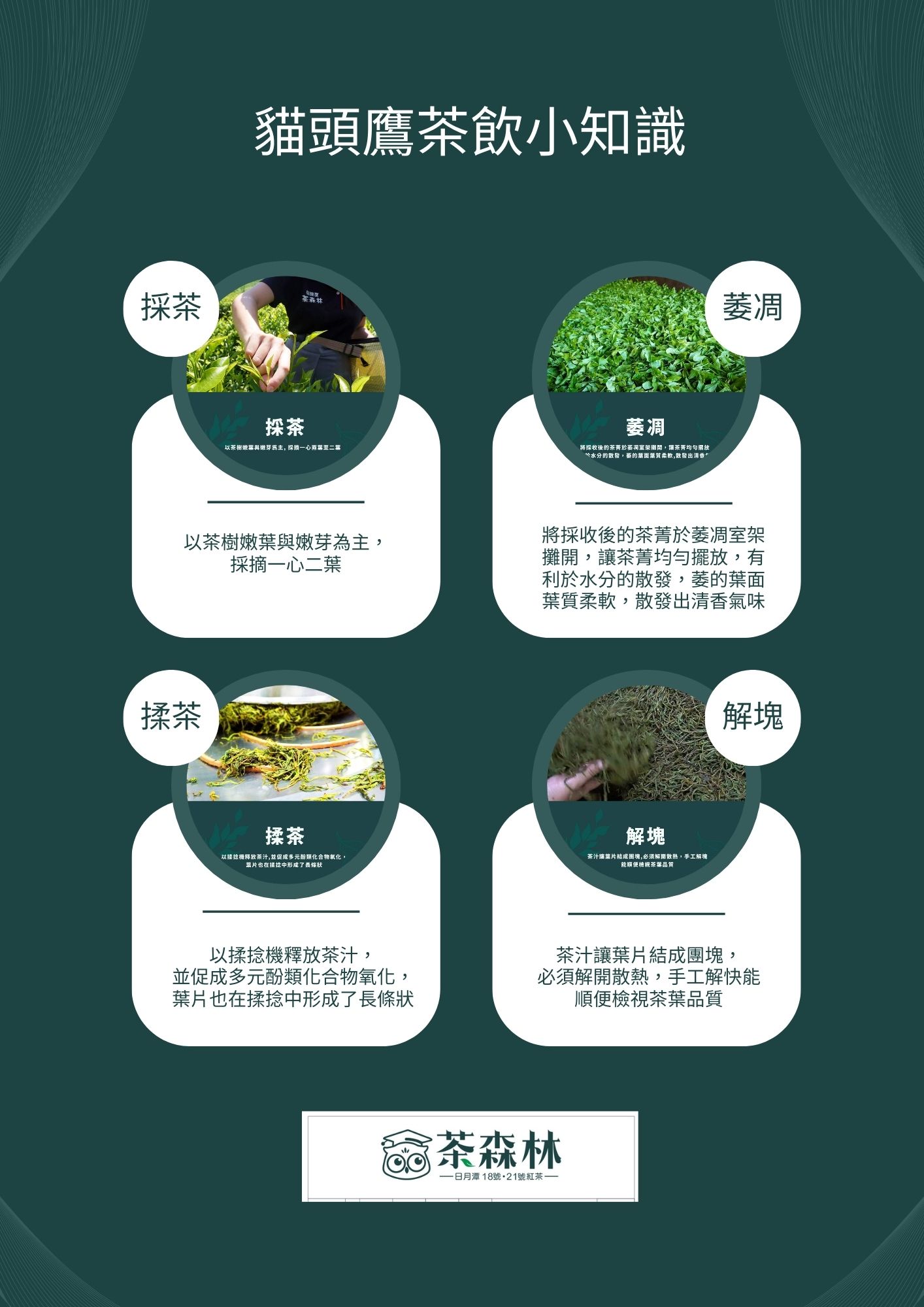 貓頭鷹茶森林 加盟優勢