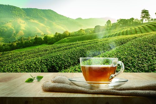 呷尚寶 產品介紹