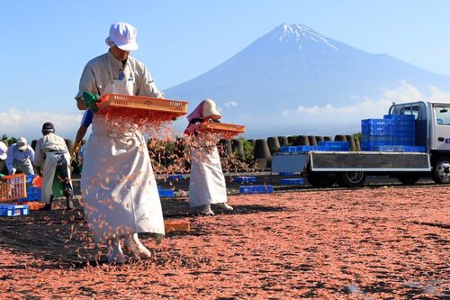父山白俠  粥品專賣店 品牌形象