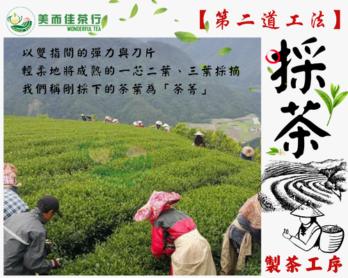 美而佳茶行  品牌圖片 #2