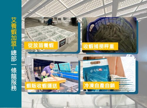 艾養蝦 產品介紹