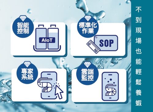 艾養蝦 產品介紹