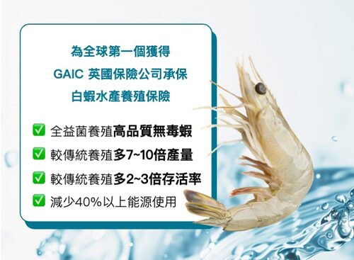 艾養蝦 品牌形象